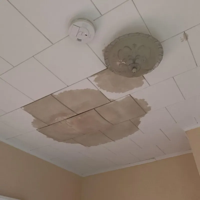 Ceiling Water Damage Repair in Lyndeborough, NH