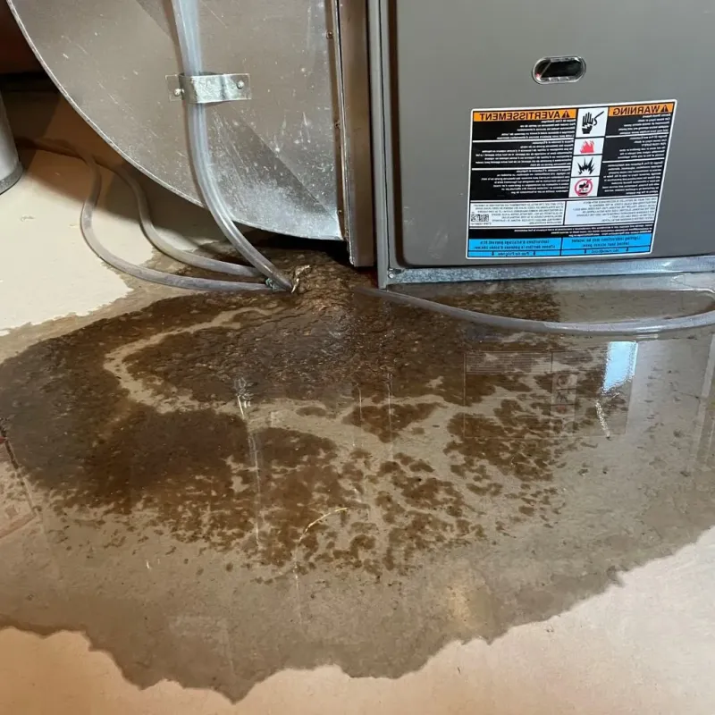 Pipe Burst and Leak Restoration in Lyndeborough, NH